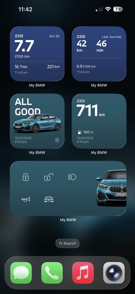 BMW's widgets also come in many variants.